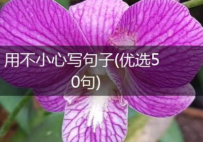 用不小心写句子(优选50句)