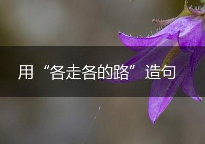用“各走各的路”造句