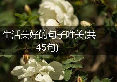 生活美好的句子唯美(共45句)