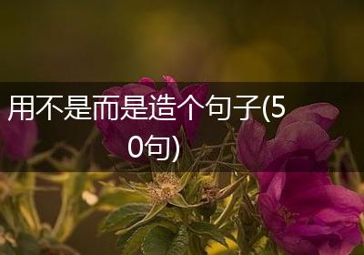 用不是而是造个句子(50句)