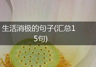 生活消极的句子(汇总15句)