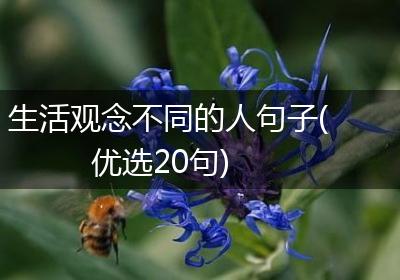 生活观念不同的人句子(优选20句)