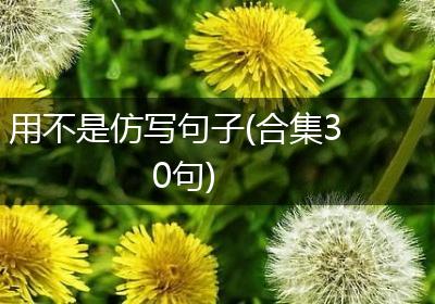 用不是仿写句子(合集30句)