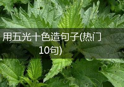 用五光十色造句子(热门10句)