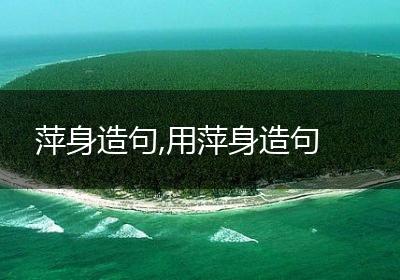 萍身造句,用萍身造句
