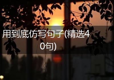 用到底仿写句子(精选40句)