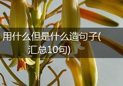用什么但是什么造句子(汇总10句)
