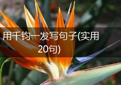 用千钧一发写句子(实用20句)
