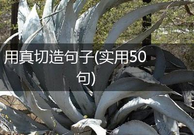 用真切造句子(实用50句)