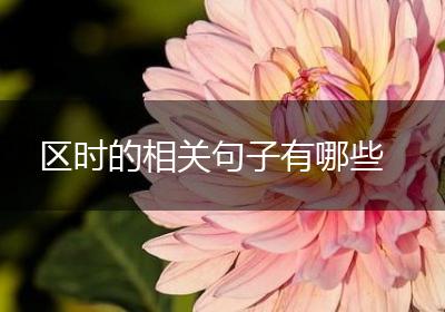 区时的相关句子有哪些