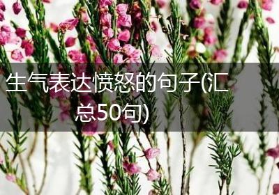 生气表达愤怒的句子(汇总50句)