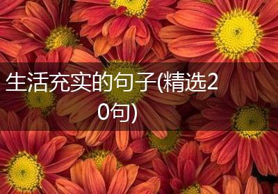 生活充实的句子(精选20句)