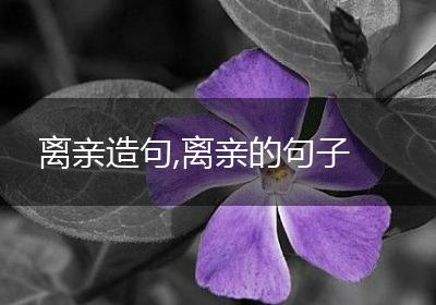 离亲造句,离亲的句子