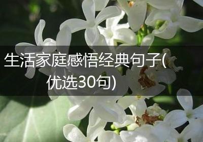 生活家庭感悟经典句子(优选30句)