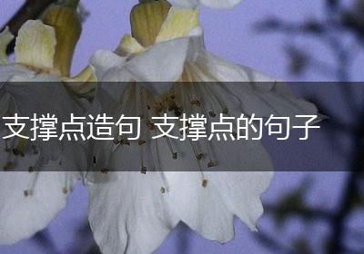 支撑点造句 支撑点的句子