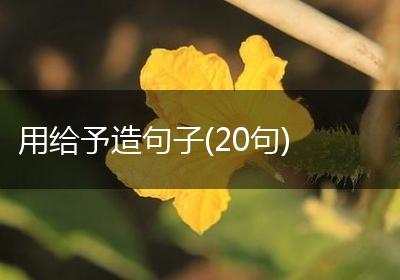用给予造句子(20句)