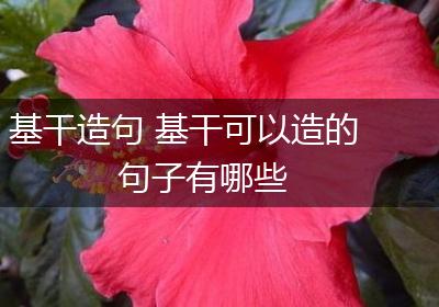 基干造句 基干可以造的句子有哪些