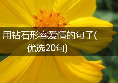 用钻石形容爱情的句子(优选20句)