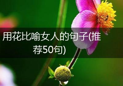 用花比喻女人的句子(推荐50句)