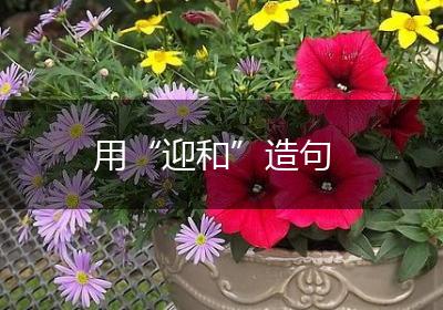 用“迎和”造句