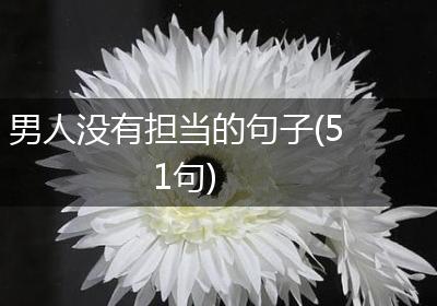男人没有担当的句子(51句)