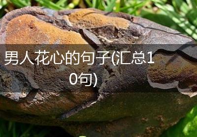 男人花心的句子(汇总10句)