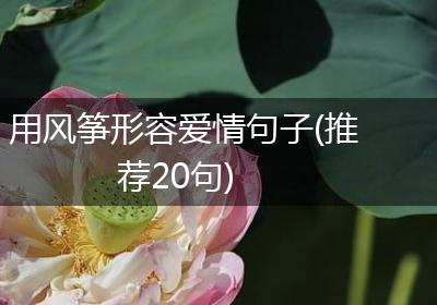 用风筝形容爱情句子(推荐20句)