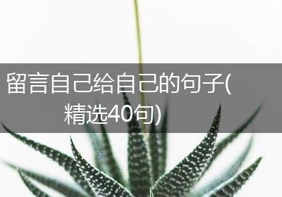 留言自己给自己的句子(精选40句)