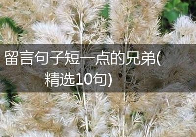 留言句子短一点的兄弟(精选10句)