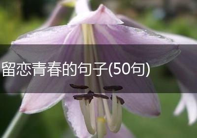 留恋青春的句子(50句)