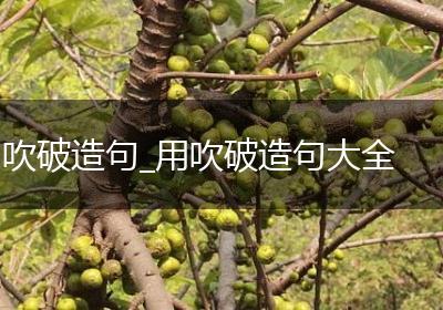 吹破造句_用吹破造句大全