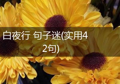 白夜行 句子迷(实用42句)