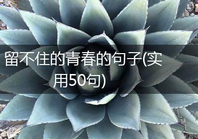 留不住的青春的句子(实用50句)