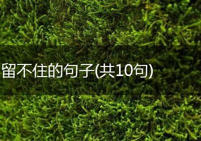 留不住的句子(共10句)