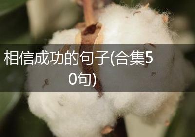 相信成功的句子(合集50句)