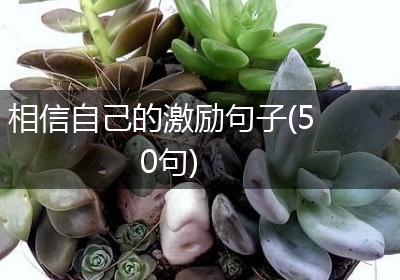 相信自己的激励句子(50句)