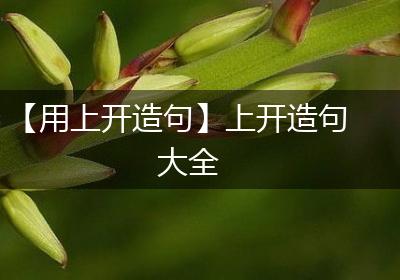 【用上开造句】上开造句大全
