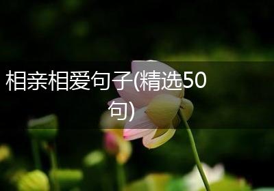 相亲相爱句子(精选50句)