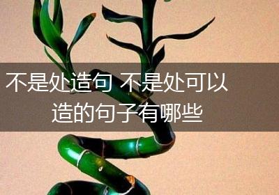 不是处造句 不是处可以造的句子有哪些