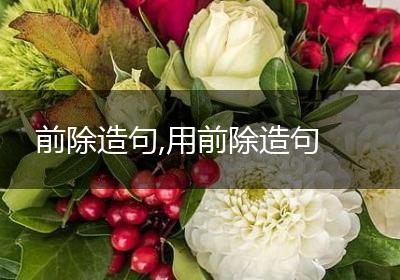 前除造句,用前除造句