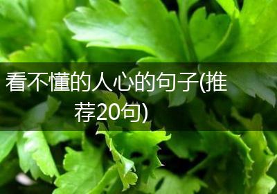 看不懂的人心的句子(推荐20句)