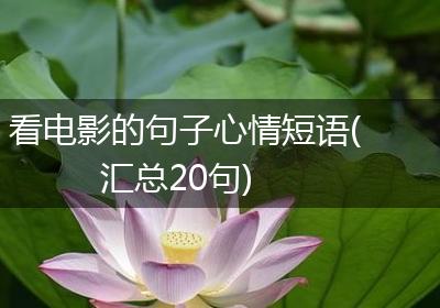 看电影的句子心情短语(汇总20句)