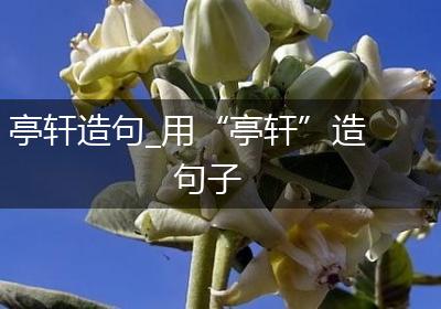 亭轩造句_用“亭轩”造句子