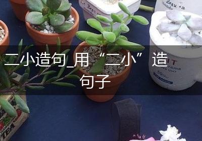 二小造句_用“二小”造句子