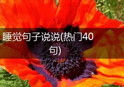 睡觉句子说说(热门40句)