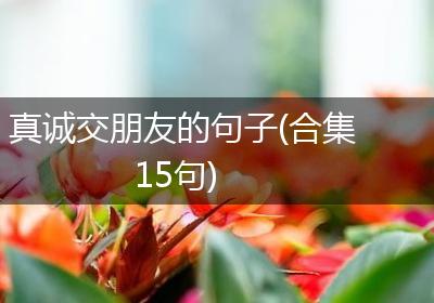 真诚交朋友的句子(合集15句)