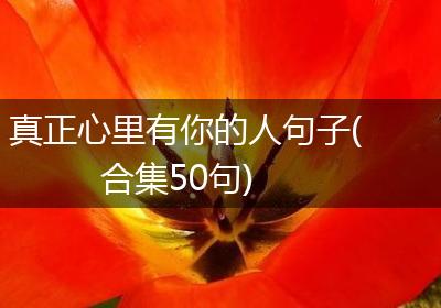 真正心里有你的人句子(合集50句)