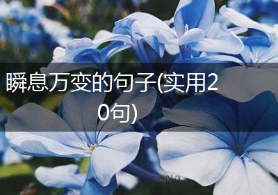 瞬息万变的句子(实用20句)