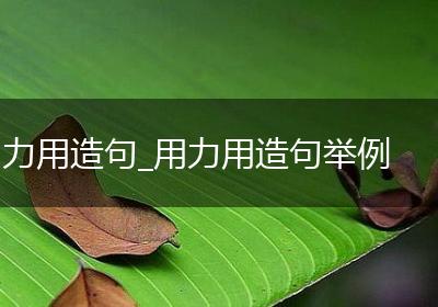 力用造句_用力用造句举例