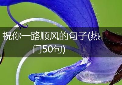 祝你一路顺风的句子(热门50句)